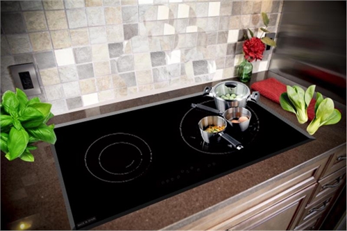 Bếp điện từ Hafele